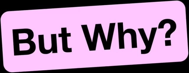 but-why-text
